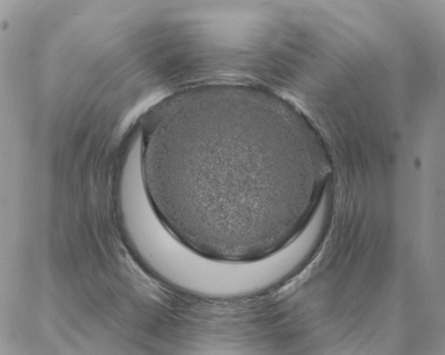 X0000088031402200705182014