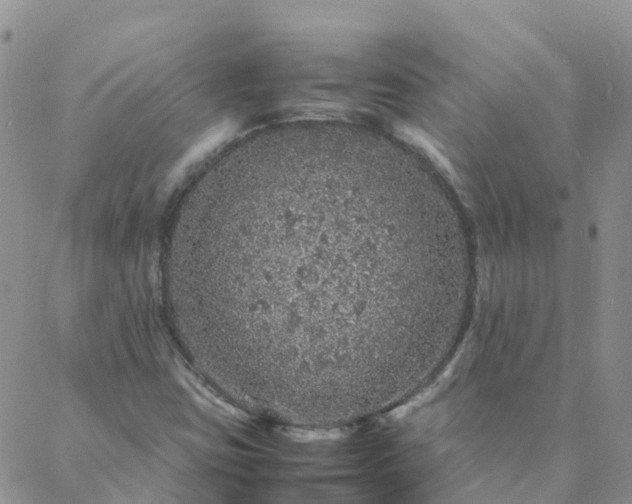 X0000088031403200705182014