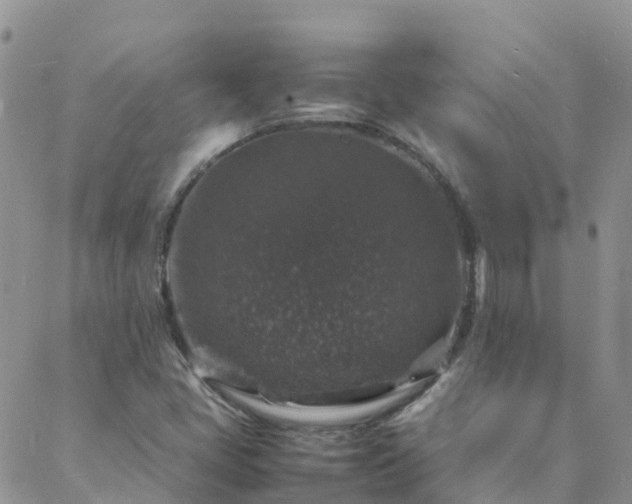 X0000088031405200705182014