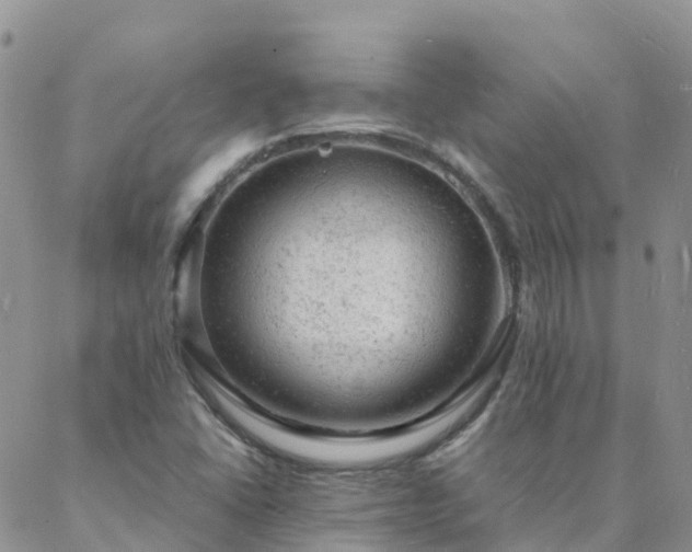 X0000088031406200705182014