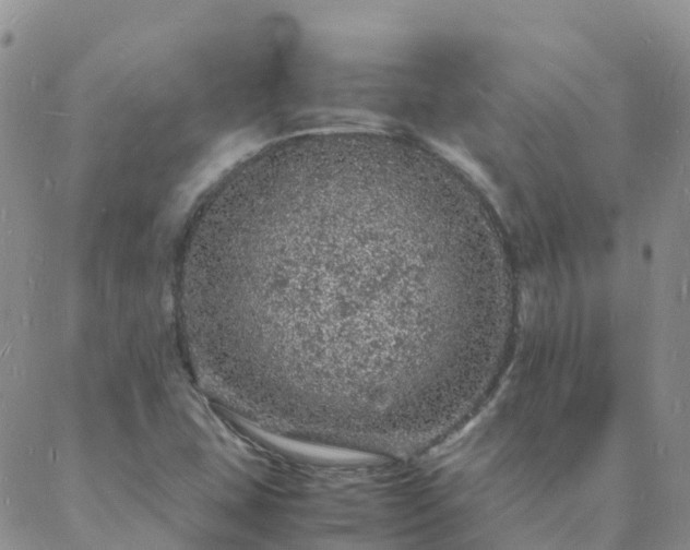 X0000088031407200705182014