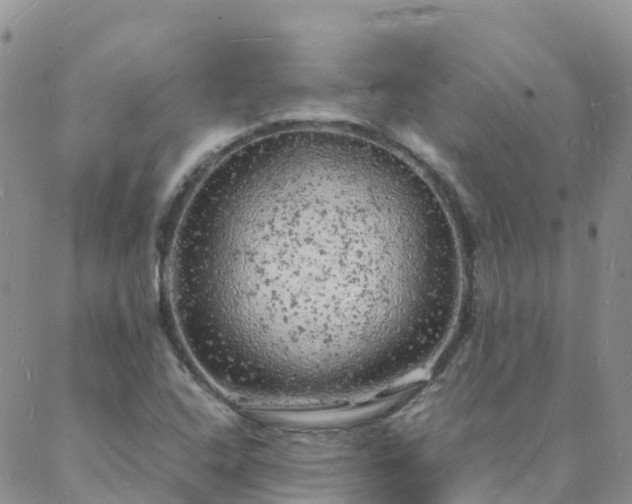 X0000088031408200705182014