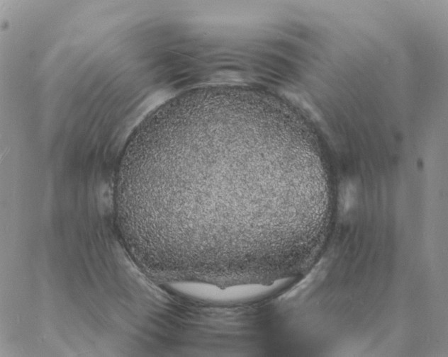 X0000088031409200705182014