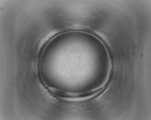 X0000088031410200705182014