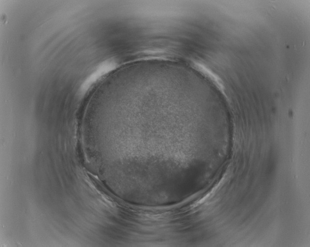 X0000088031411200705182014