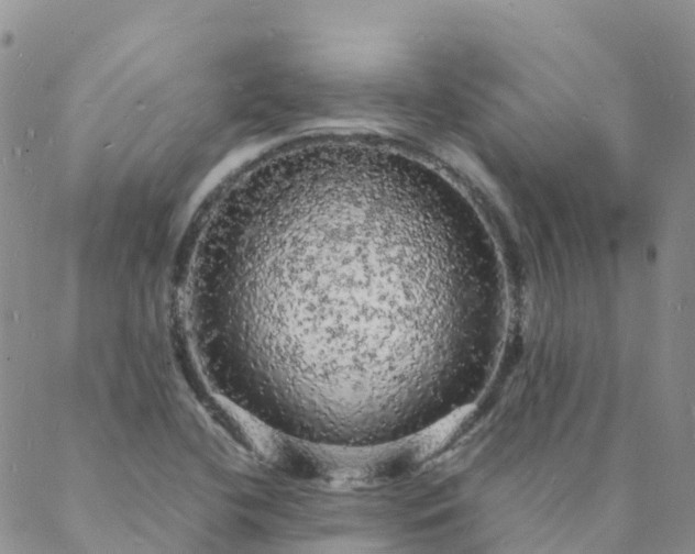 X0000088031412200705182014