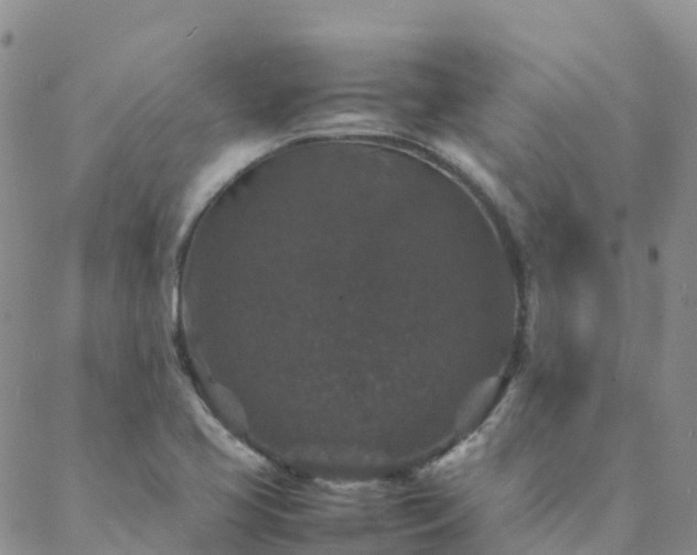 X0000088031413200705182014