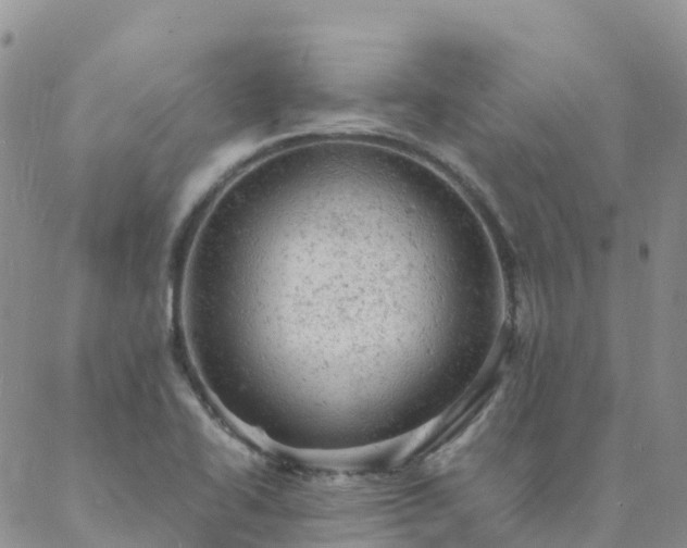 X0000088031414200705182014