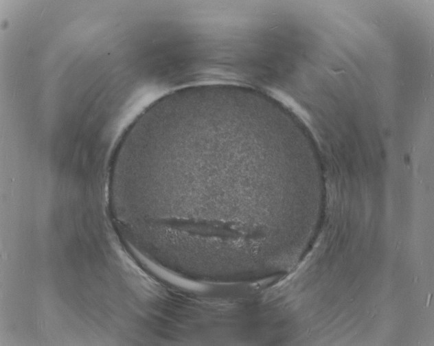 X0000088031415200705182014