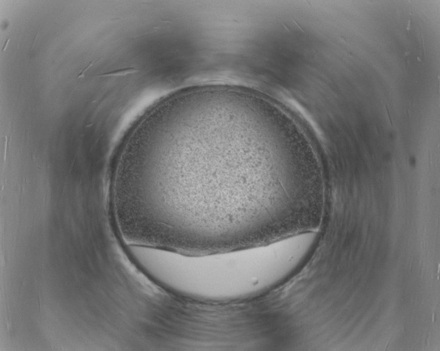 X0000088031416200705182014