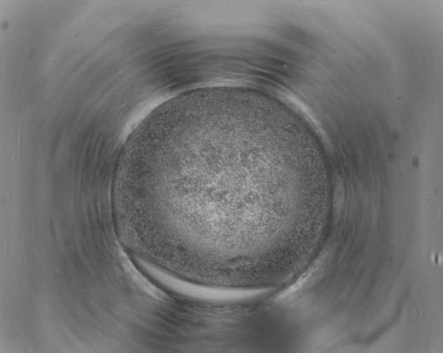 X0000088031417200705182014