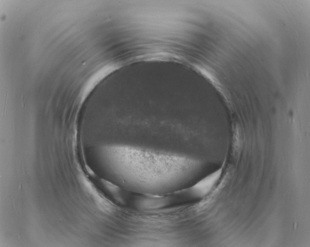 X0000088031418200705182014