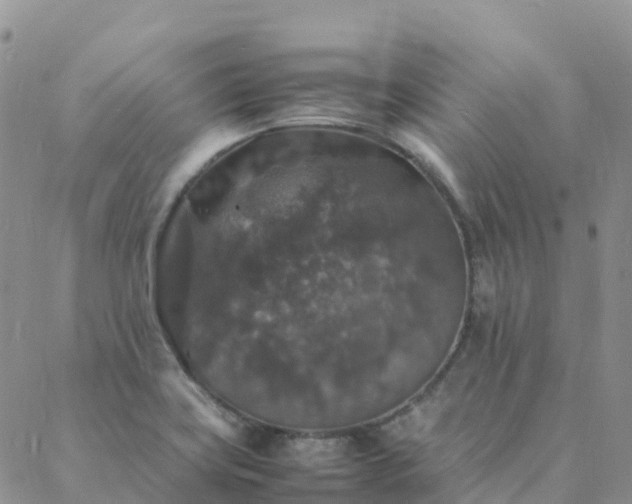 X0000088031419200705182014