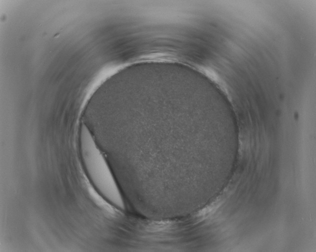 X0000088031421200705182014