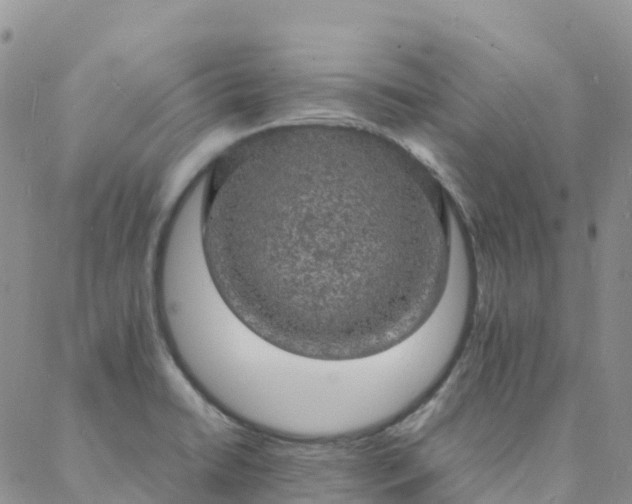 X0000088031422200705182014