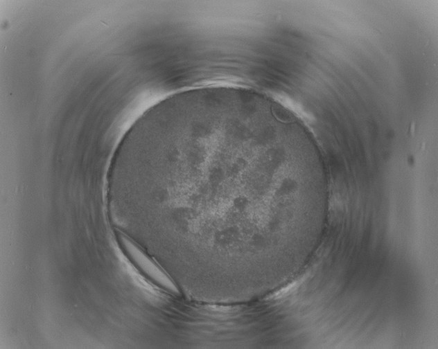 X0000088031423200705182014