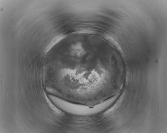 X0000088031425200705182014