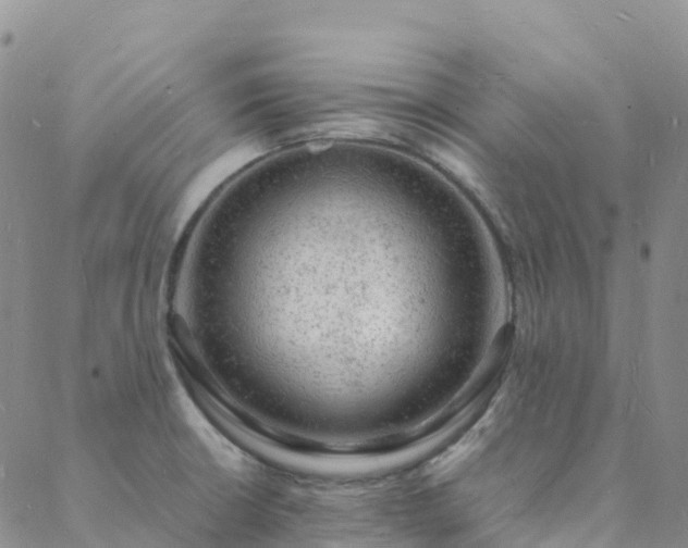 X0000088031426200705182014