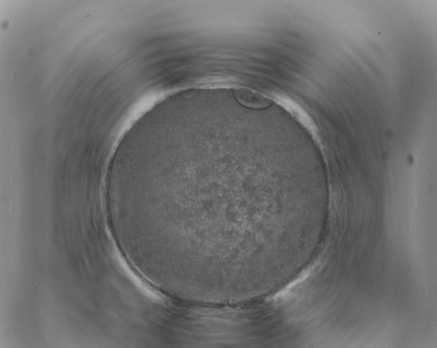 X0000088031429200705182014