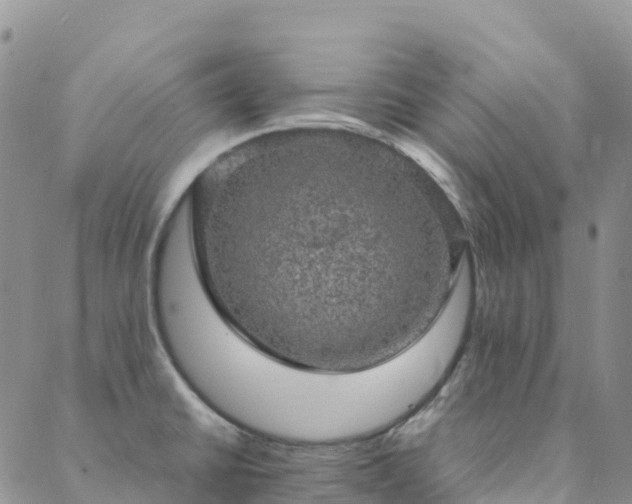 X0000088031430200705182014