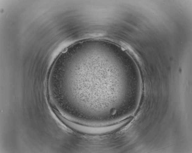 X0000088031432200705182014