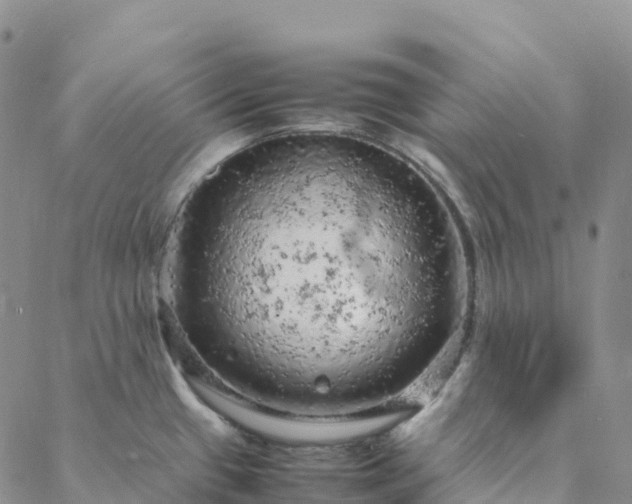 X0000088031433200705182014