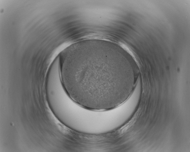 X0000088031434200705182014