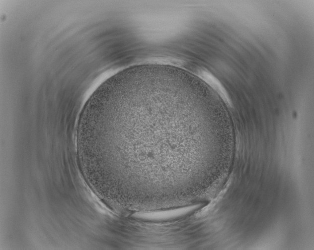 X0000088031436200705182014