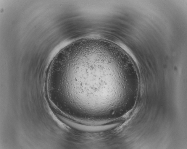 X0000088031437200705182014