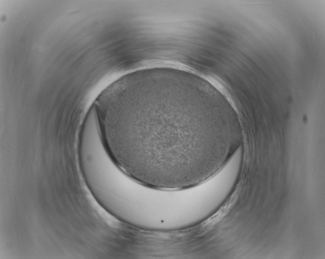 X0000088031438200705182014