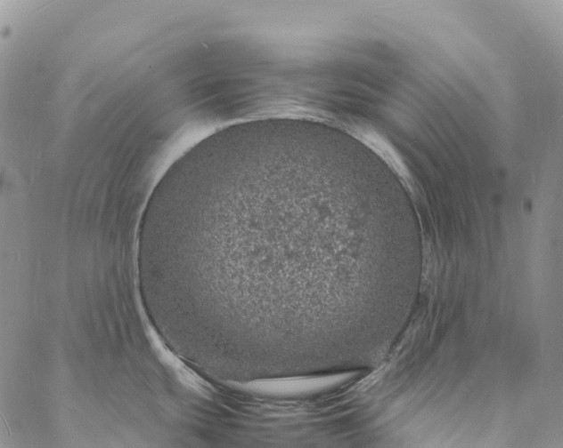 X0000088031439200705182014