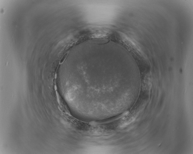 X0000088031441200705182014