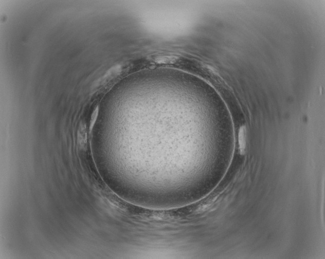 X0000088031443200705182013