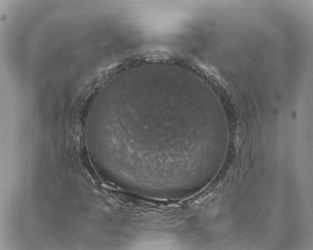 X0000088031445200705182013