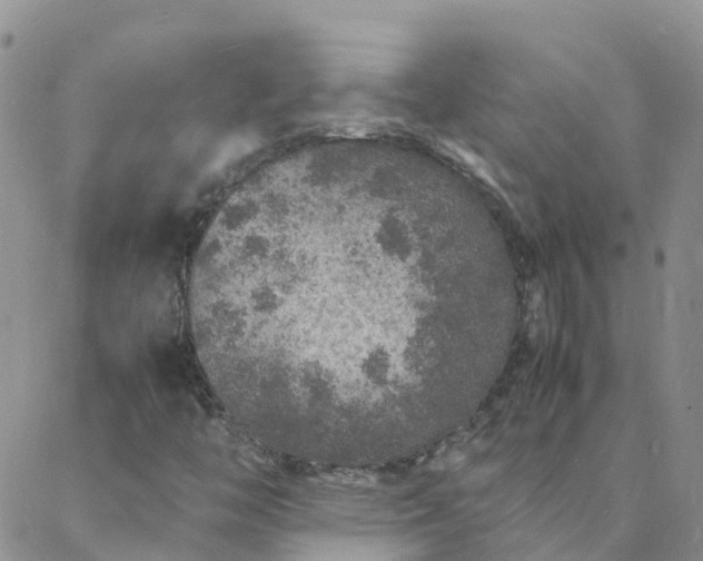 X0000088031446200705182013