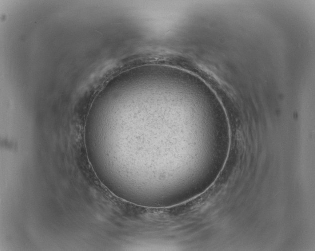 X0000088031447200705182013