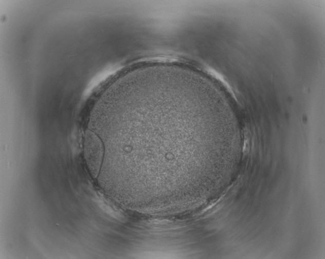 X0000088031448200705182013