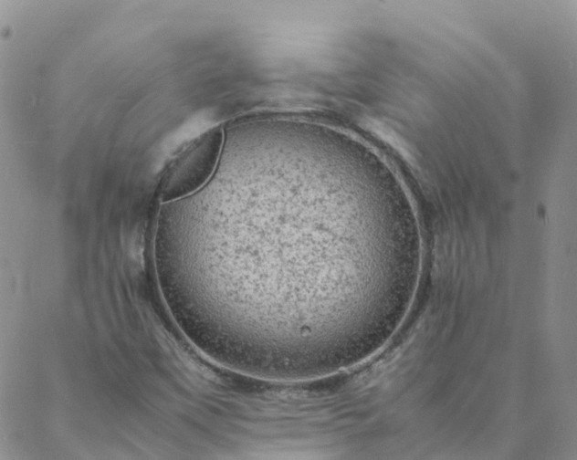 X0000088031451200705182013