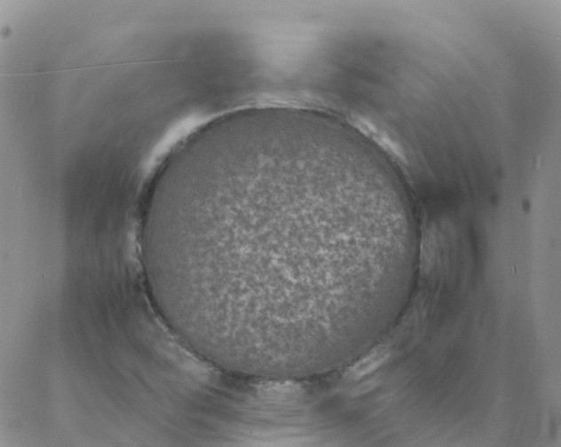 X0000088031454200705182013