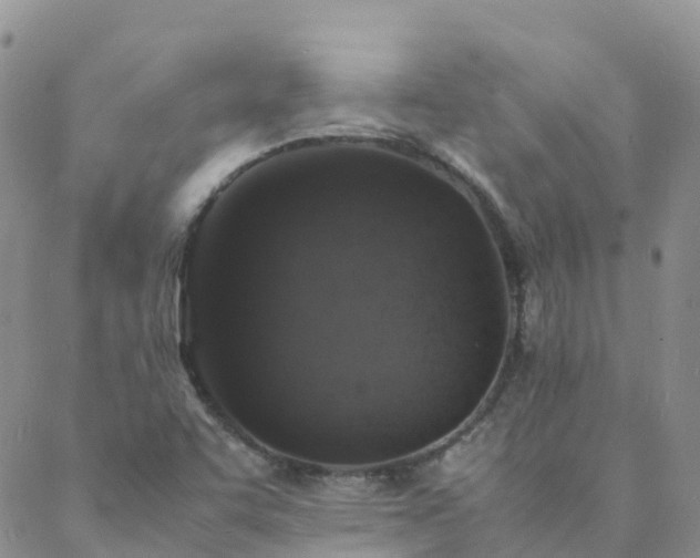 X0000088031455200705182013