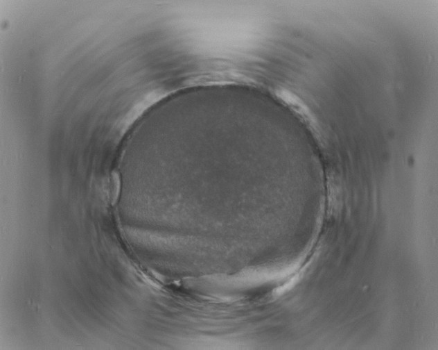 X0000088031457200705182013