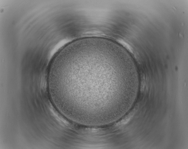 X0000088031458200705182013