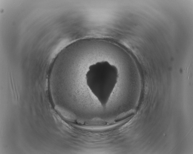 X0000088031459200705182013