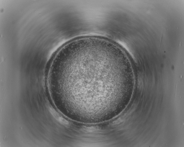 X0000088031460200705182013