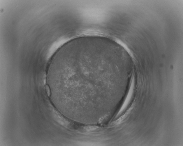 X0000088031461200705182013