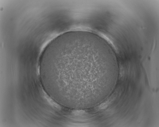 X0000088031462200705182013