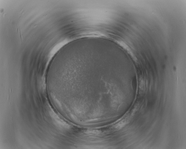 X0000088031466200705182013