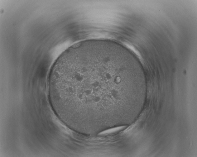 X0000088031467200705182013