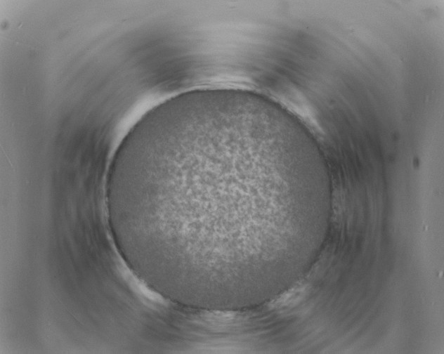 X0000088031470200705182013