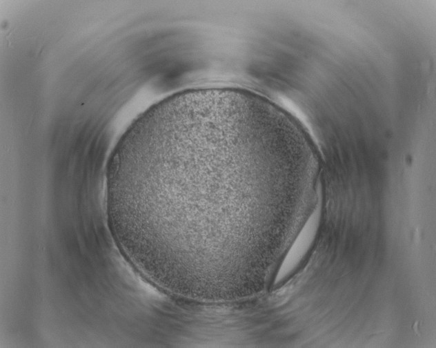 X0000088031472200705182013